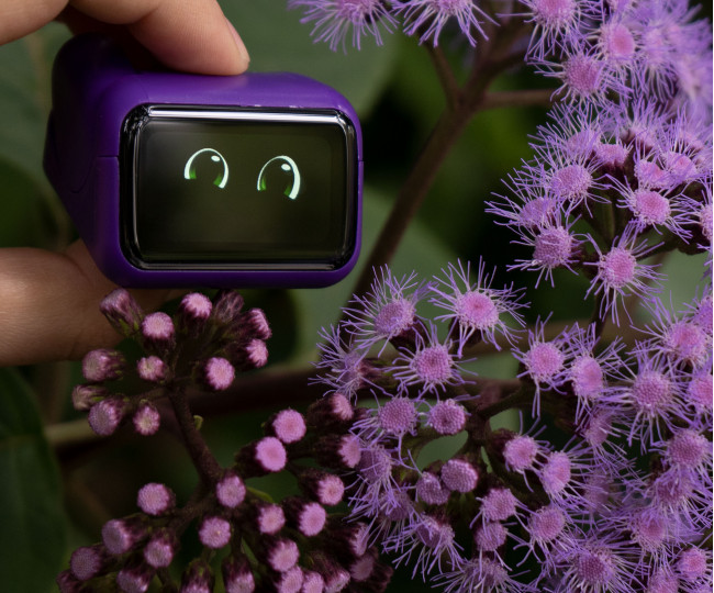 Интерактивный робот-компаньон The Adorable Ortomi Umi Companion